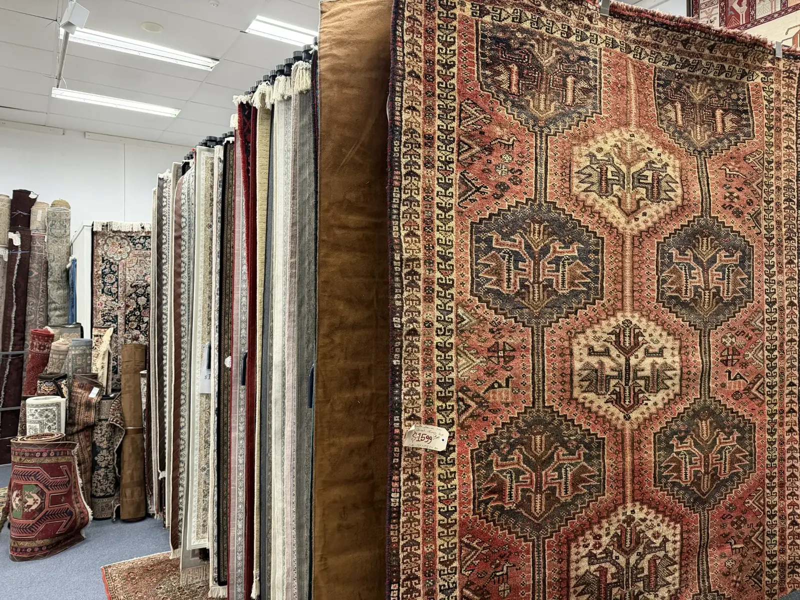 Rugs ready to explore inside the showroom
